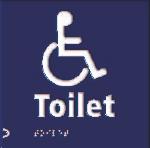 Disabled Toilet