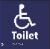Disabled Toilet Braille / Tactile