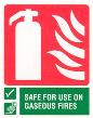 Fire Assessment