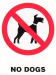 No dogs