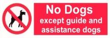 No dogs except guide and assistance dogs