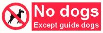 No dogs Except guide dogs