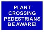 PLANT CROSSING PEDESTRIANS BE AWARE!